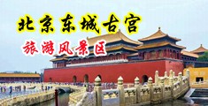 干艹B网中国北京-东城古宫旅游风景区